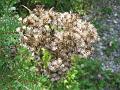 Passerelles 056